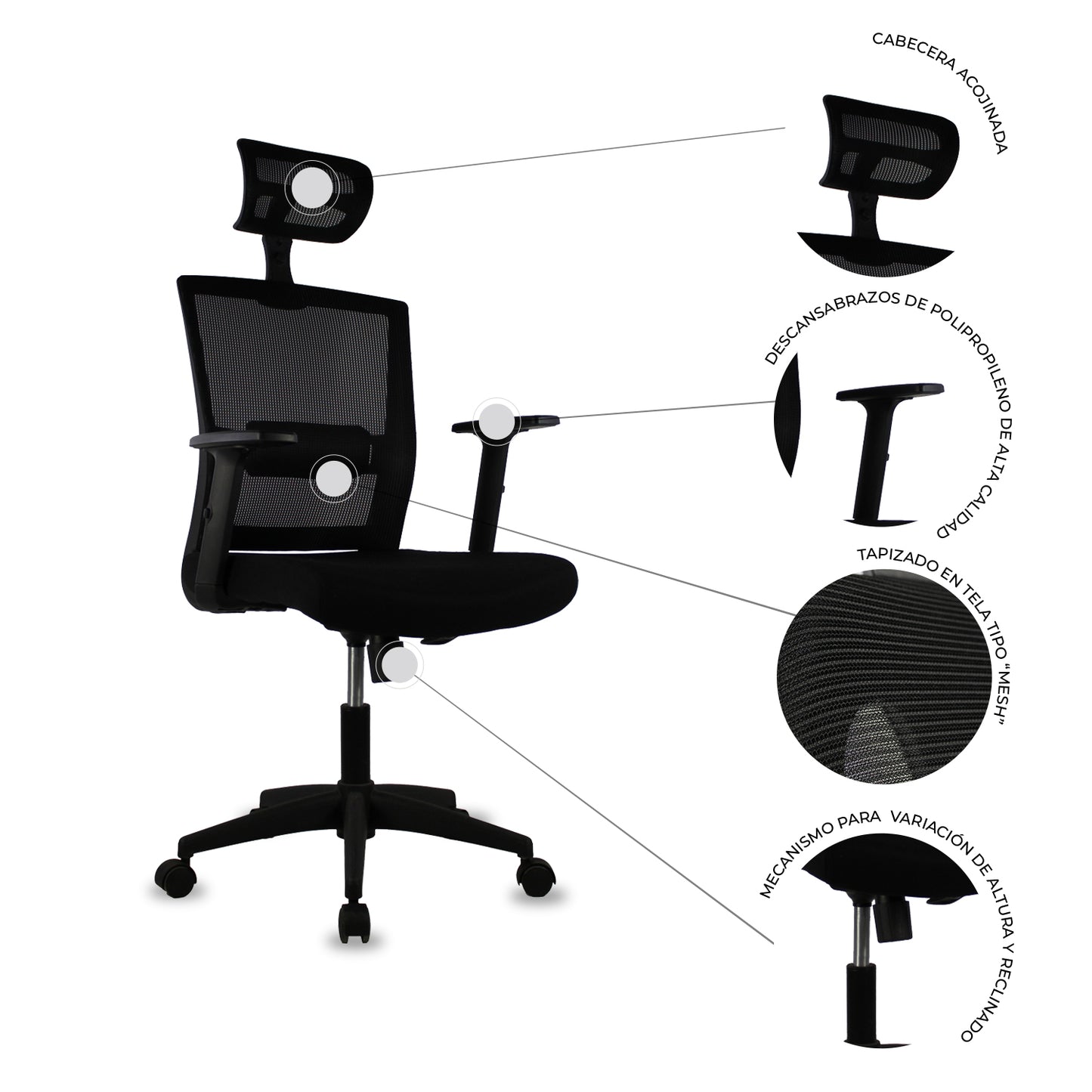 Silla SINES