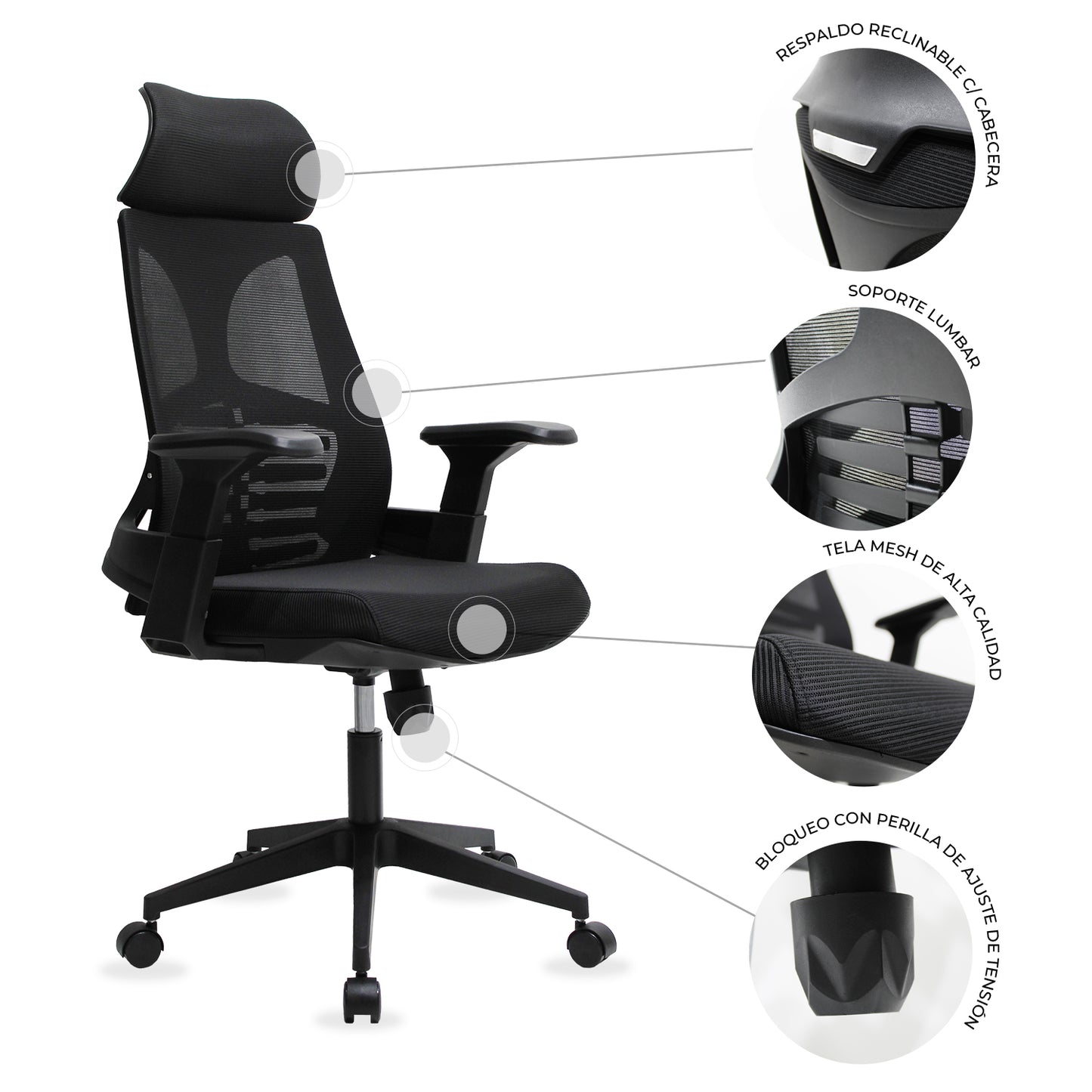 Silla BEJA
