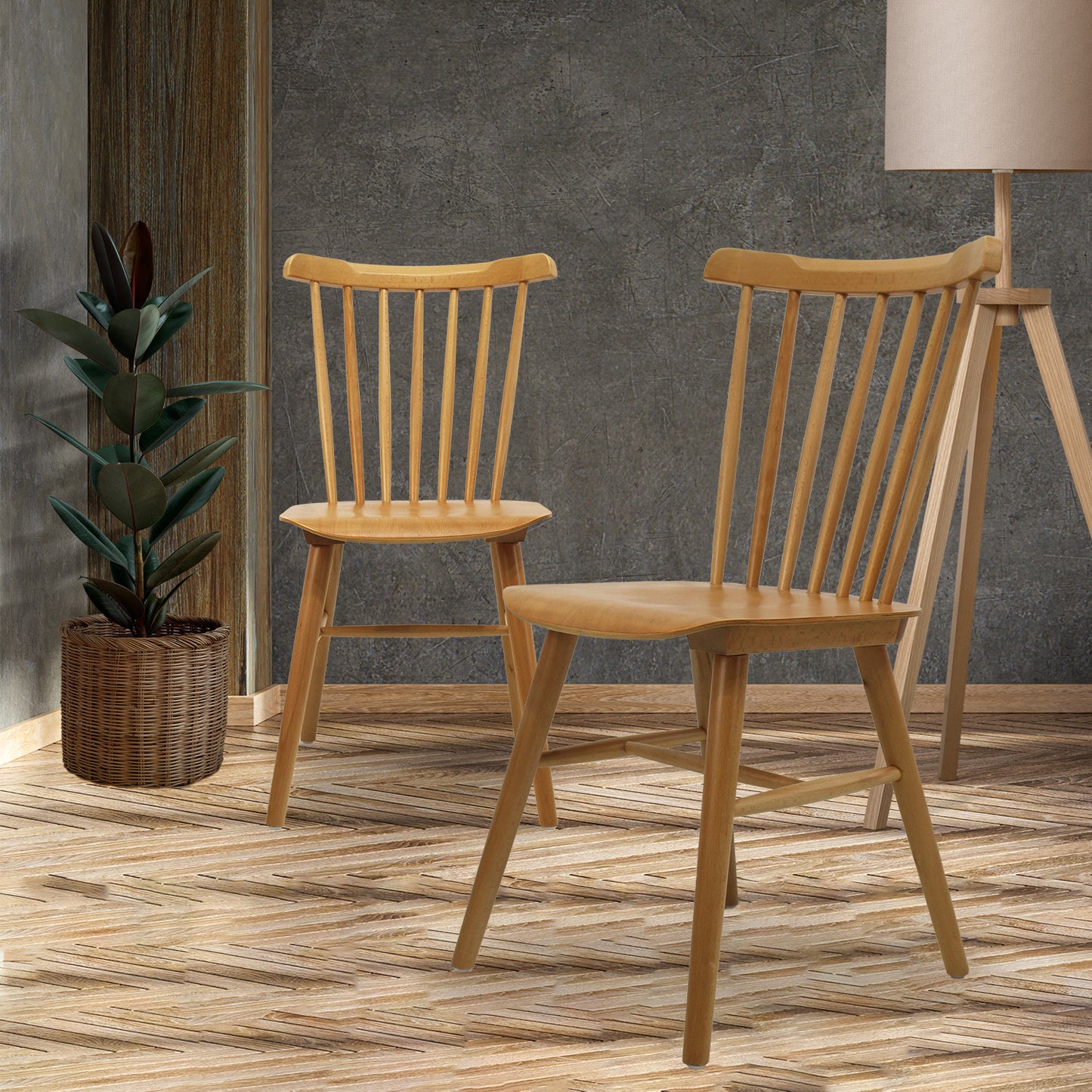 Silla COMPOSTELA