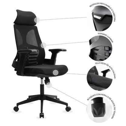 Silla BEJA